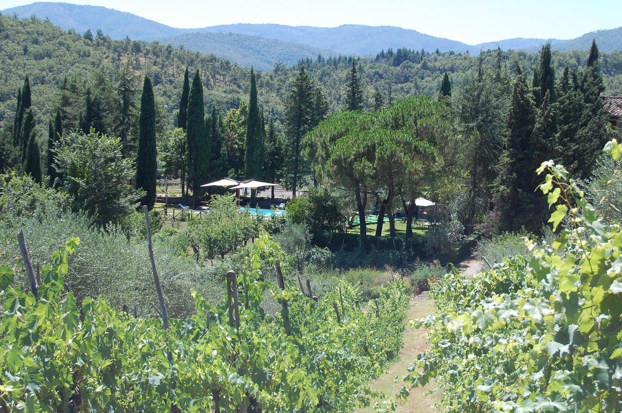 Agriturismo Borgo Del Senatore Ангьяри Экстерьер фото